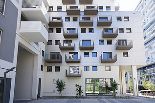Foto von Green Cube