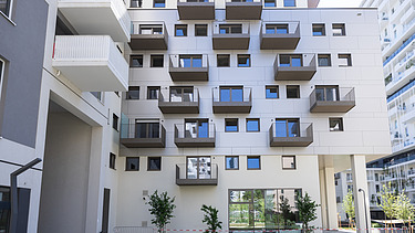 Foto von Green Cube
