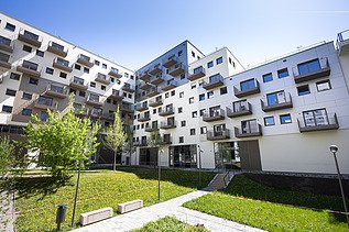 Foto von Green Cube 