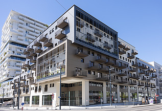 Foto von Green Cube
